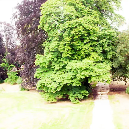 Chateau Morreau Bed & Breakfast Peruwelz
